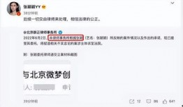 张颖颖爆料分析最新视频,事件真相与幕后黑幕